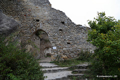 IMG 9129