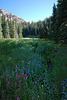 Mt. Uncompahgre Hike