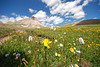 Mt. Uncompahgre Hike