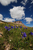 Mt. Uncompahgre Hike