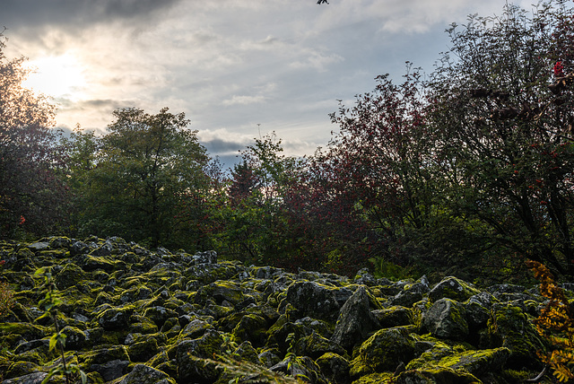 Kreuzberg (Rhön) - 20130921