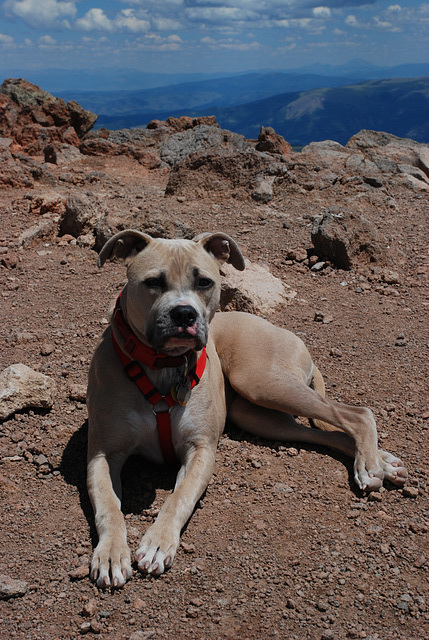 Mt. Uncompahgre Hike