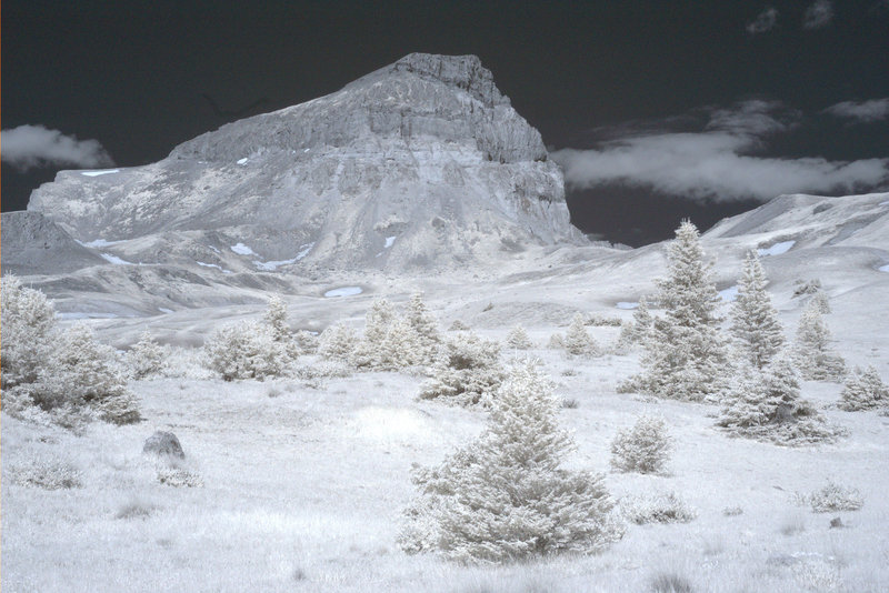 Mt. Uncompahgre Hike