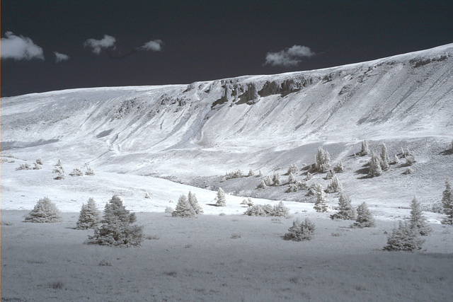 Mt. Uncompahgre Hike