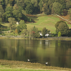 Rydal Water crop 3