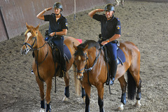 Mounted police demonstration