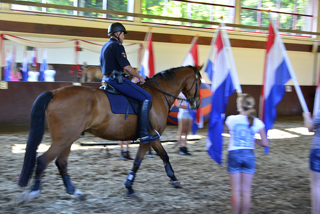 Mounted police demonstration