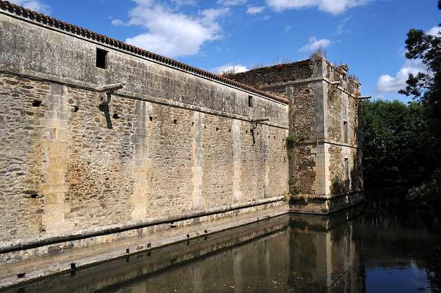 Remparts du Château de la Citardière