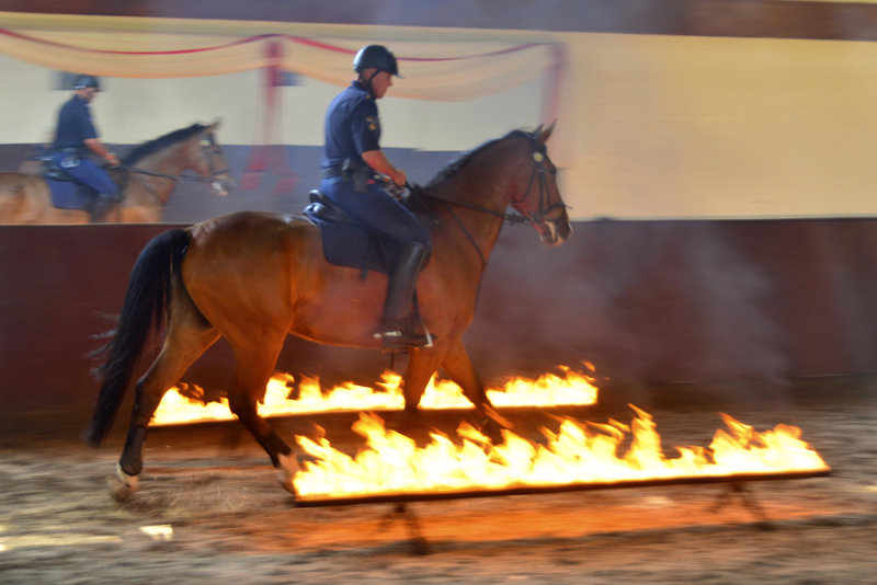 Mounted police demonstration