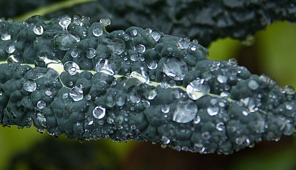 20131127 3102RAw Eistropfen, Kohl