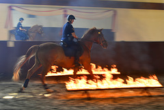 Mounted police demonstration