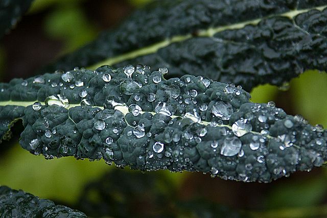 20131127 3101RAw Eistropfen, Kohl