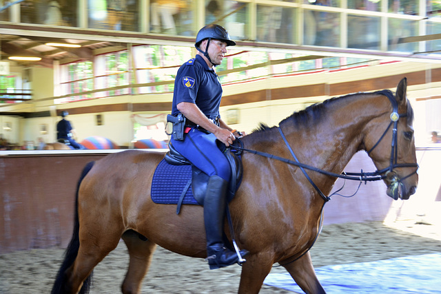 Mounted police demonstration