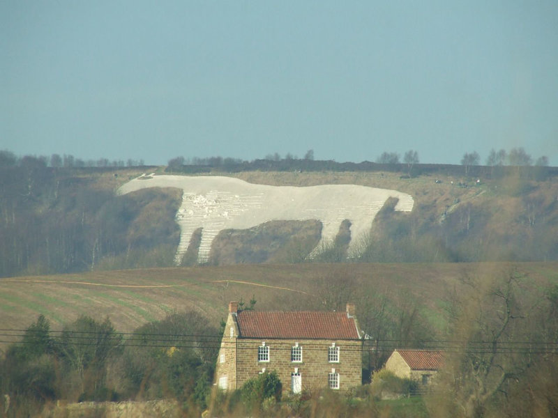 White Horse