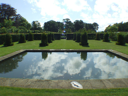 Pond and trees