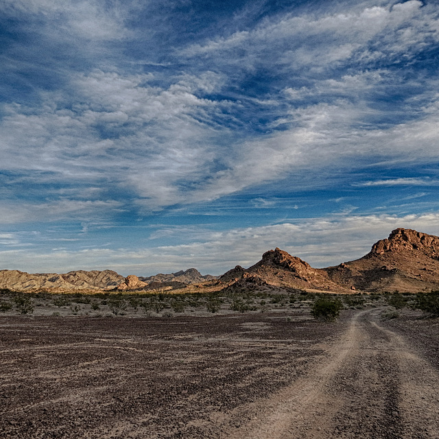 Mojave Desert