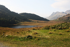 Blea Tarn