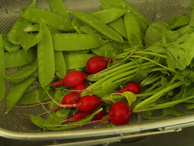 micro harvest!