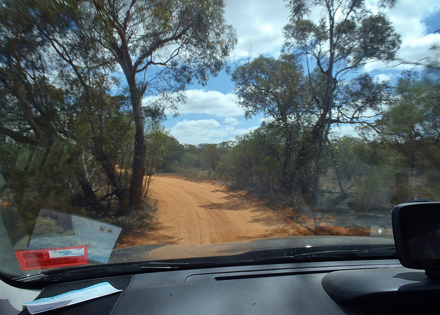 driving around Mungo