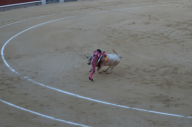 Madrid Bullfights