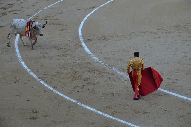 Madrid Bullfights