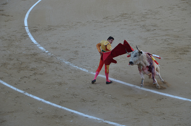 Madrid Bullfights