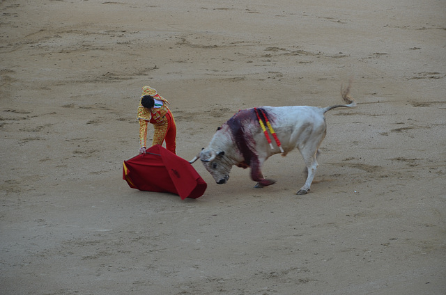 Madrid Bullfights