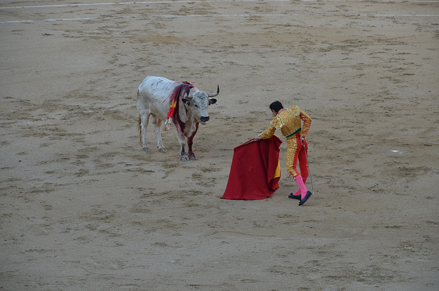 Madrid Bullfights