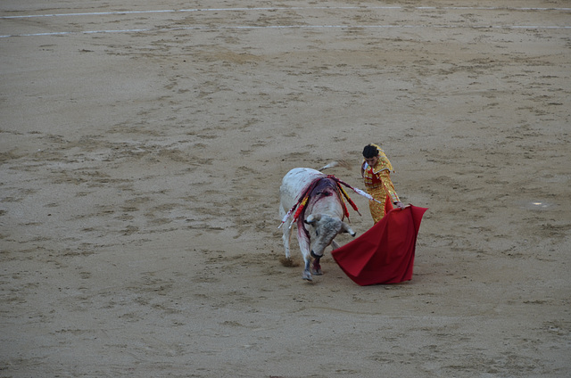 Madrid Bullfights