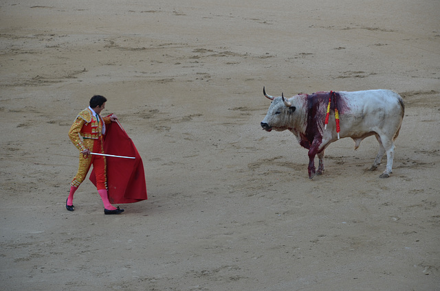 Madrid Bullfights