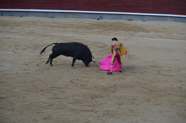 Madrid Bullfights