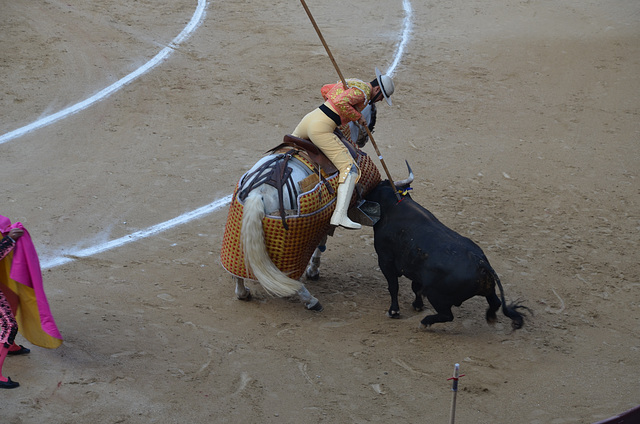 Madrid Bullfights