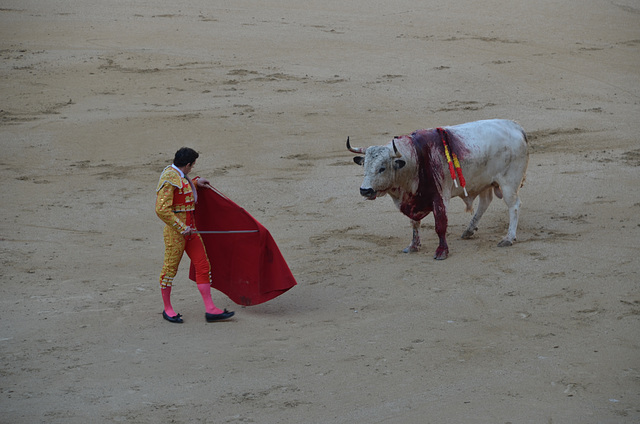 Madrid Bullfights