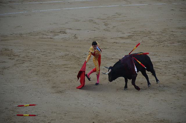 Madrid Bullfights