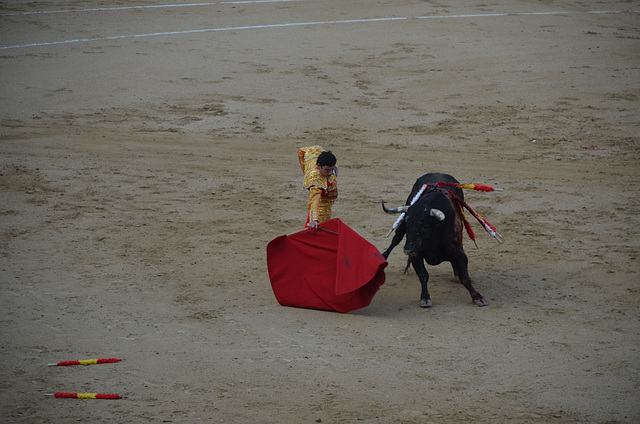 Madrid Bullfights