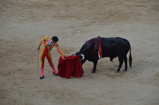 Madrid Bullfights