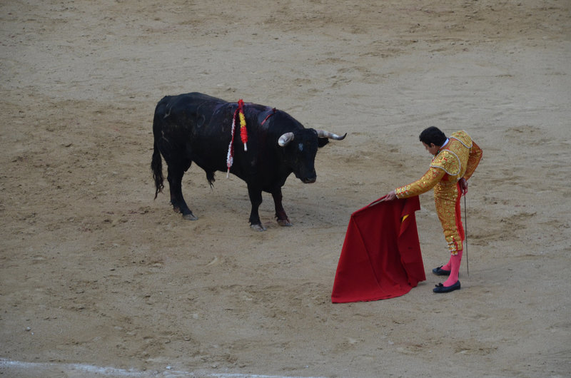 Madrid Bullfights