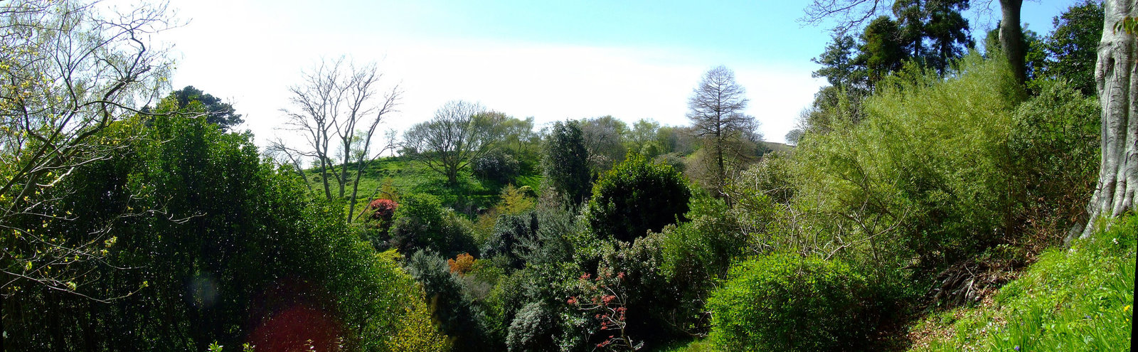 Panorama at Coleton Fishacre