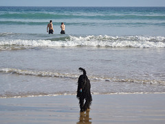 at the beach