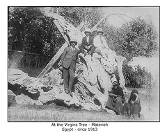 At the Virgins Tree Materieh c1913