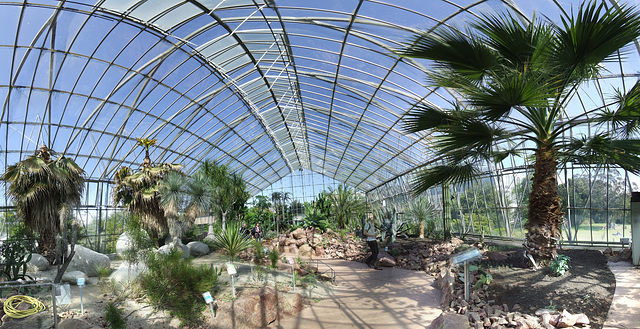 Cactus House Panorama - 50 Megapixels