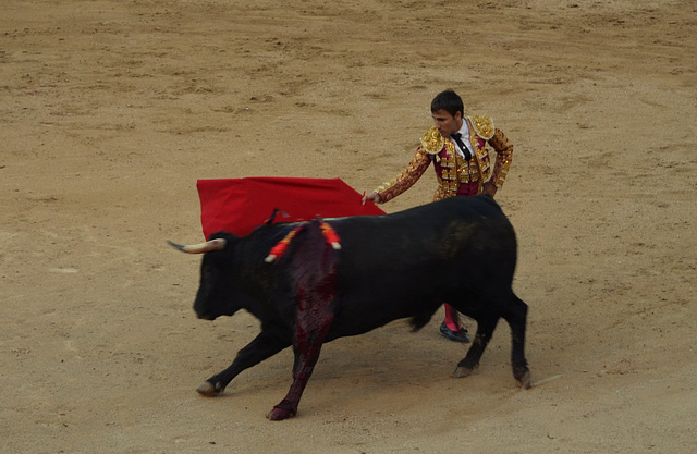 Madrid Bullfights