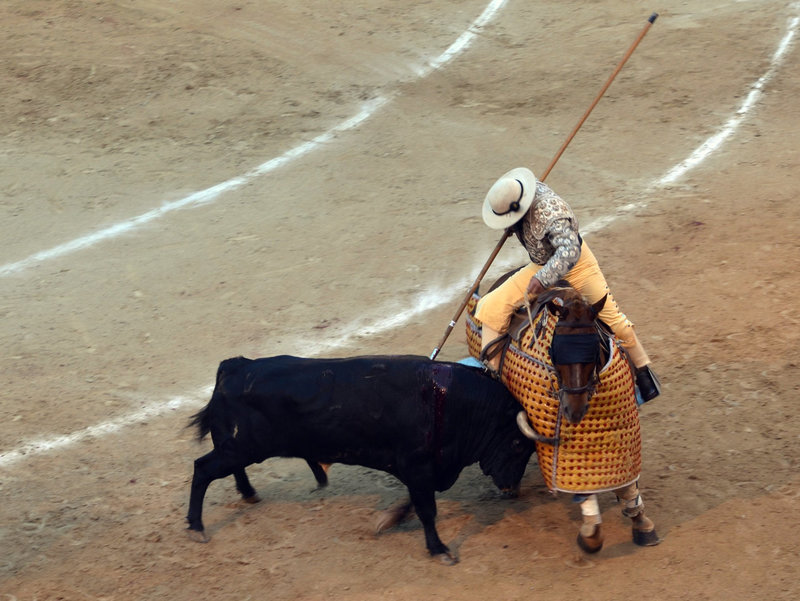 Madrid Bullfights