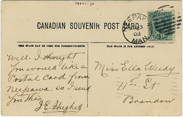 [Hotel Hamilton, Neepawa, Man.] (back)