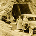 Souvenir Photo of Man and Woman at the Wawona Tree