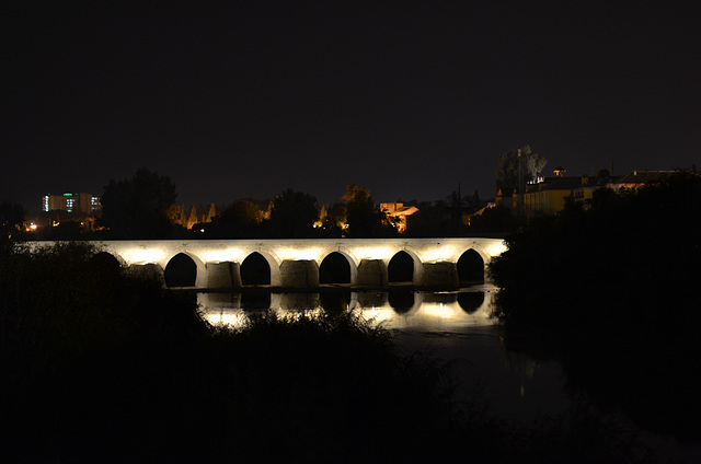 Cordoba at Night