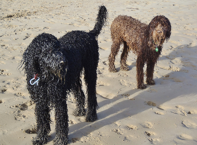 at the beach