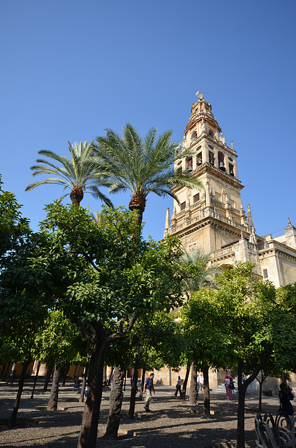 Mezquita