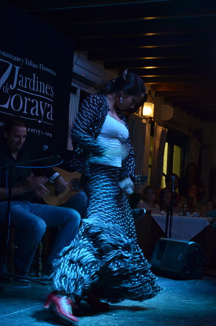 Flamenco