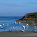 Marée basse au Guimorais (Ille-et-Vilaine, France)